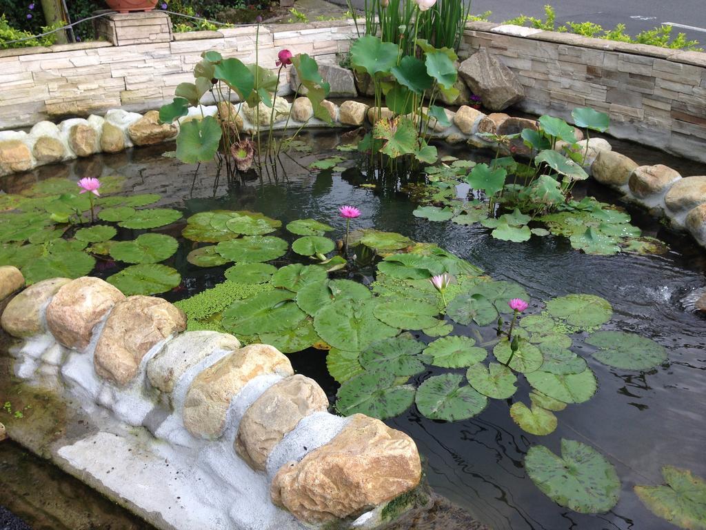 Songyuan B&B Лугу Экстерьер фото